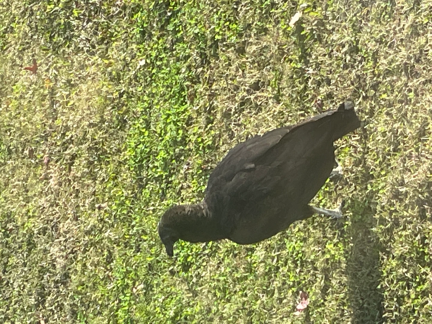 Bond James BTCBaggins Bond's avatar